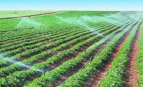 黑鸡巴插白屄农田高 效节水灌溉
